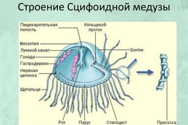 Кракен мага