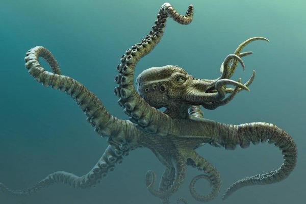 Kraken 17at сайт