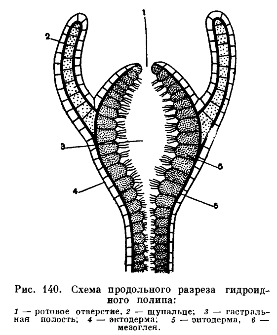 Kra29at