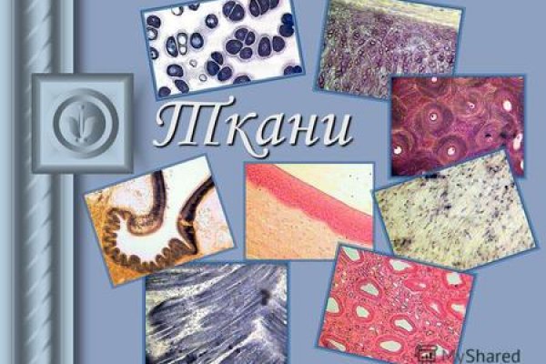 Актуальный сайт кракена